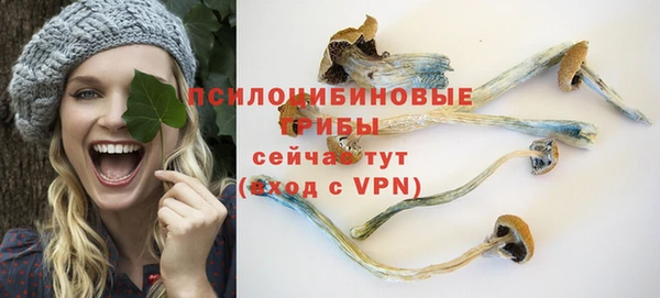 бошки Балахна