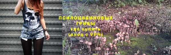бошки Балахна