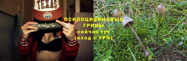 бошки Балахна